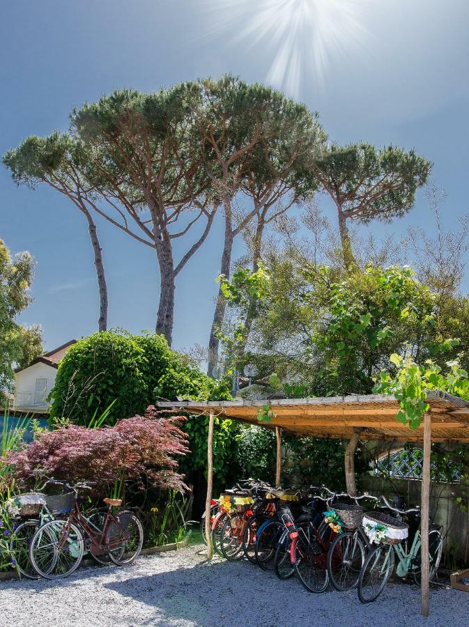 B&B Due Passi Dal Mare Cinquale Exterior photo