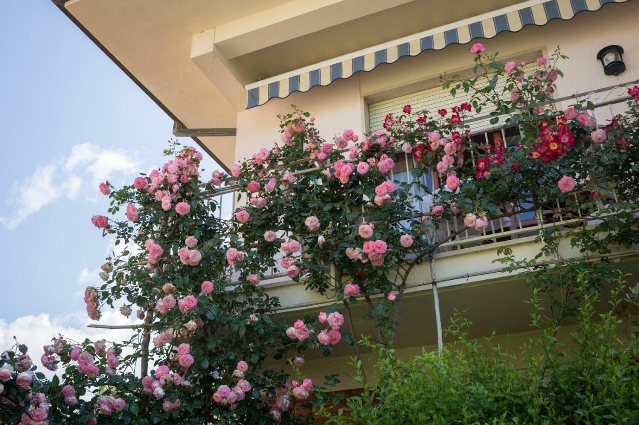 B&B Due Passi Dal Mare Cinquale Exterior photo